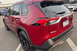 2025 Toyota RAV4 Cruiser