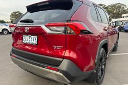 2025 Toyota RAV4 Cruiser