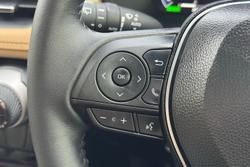 2025 Toyota RAV4 Cruiser