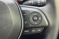 2025 Toyota RAV4 Cruiser