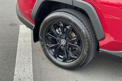 2025 Toyota RAV4 Cruiser
