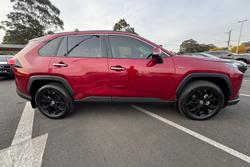 2025 Toyota RAV4 Cruiser