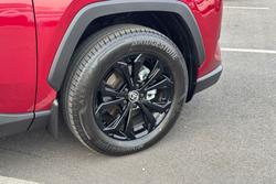 2025 Toyota RAV4 Cruiser