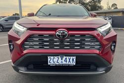 2025 Toyota RAV4 Cruiser