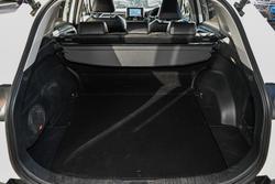 2021 Toyota RAV4 Cruiser
