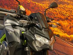 2021 Kawasaki Z900 (ZR900F) Z Grey