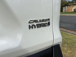 2020 Toyota RAV4 Cruiser