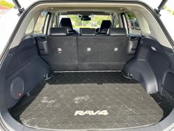 2020 Toyota RAV4 Cruiser