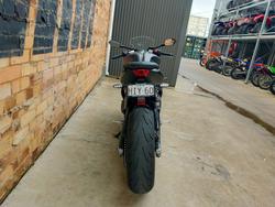 2024 TRIUMPH DAYTONA 660 ROAD GREY