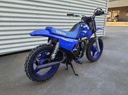 2026 Yamaha PeeWee 50 (PW50) PeeWee Blue