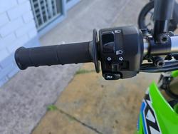 2025 Kawasaki KLX300 Green