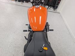 2021 Harley-davidson FXBBS STREET BOB (114) BEIGE