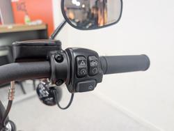 2021 Harley-davidson FXBBS STREET BOB (114) BEIGE