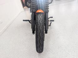 2021 Harley-davidson FXBBS STREET BOB (114) BEIGE