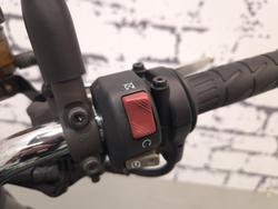 2022 Kawasaki Z900RS (Z900C) Z Green