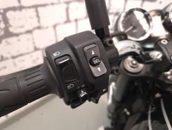 2022 Kawasaki Z900RS (Z900C) Z Green