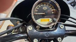 2020 HARLEY-DAVIDSON XG500 STREET 500