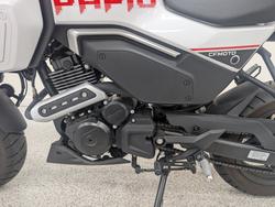 2024 CFMOTO 2024 Cf Moto 125CC XO PAPIO RACER Red