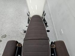 2025 Royal Enfield BEAR 650 WHITE 249