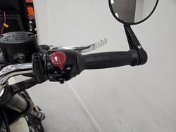 2025 Royal Enfield BEAR 650 WHITE 249