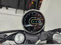 2025 Royal Enfield BEAR 650 WHITE 249