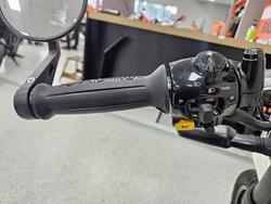 2025 Royal Enfield BEAR 650 WHITE 249