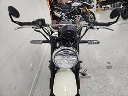 2025 Royal Enfield BEAR 650 WHITE 249