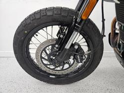 2025 Royal Enfield BEAR 650 WHITE 249