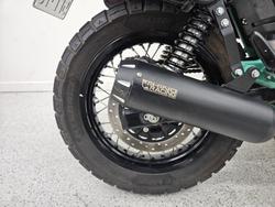 2025 Royal Enfield BEAR 650 WHITE 249