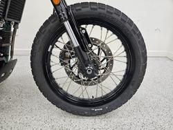 2025 Royal Enfield BEAR 650 WHITE 249