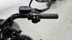 2020 HARLEY-DAVIDSON 2020 Harley-davidson 1900CC FLFBS FAT BOY ANNIVERSARY (114) CRUISER