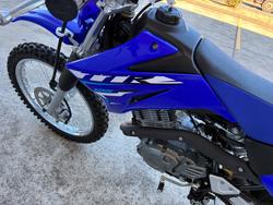 2025 Yamaha TTR125LWE Blue
