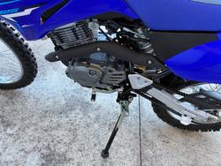 2025 Yamaha TTR125LWE Blue