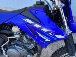 2025 Yamaha TTR125LWE Blue
