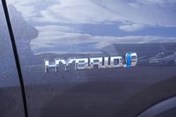 2021 Toyota RAV4 Cruiser