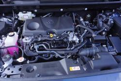 2021 Toyota RAV4 Cruiser