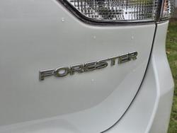 2025 Subaru Forester 2.5i S5 MY24 AWD Crystal White