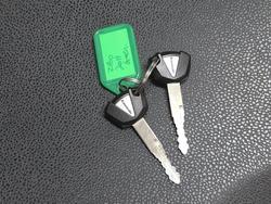 2019 Kawasaki Z900 (ZR900)