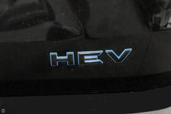 2025 GWM Haval H7 Vanta Hybrid