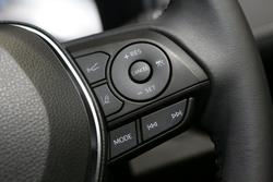 2024 Toyota RAV4 Cruiser