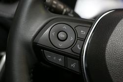 2024 Toyota RAV4 Cruiser