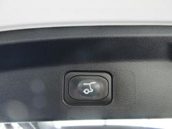 2024 Ford Everest Sport