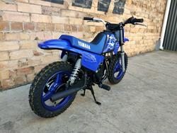 2025 YAMAHA PEEWEE 50 (PW50) MINI BIKE
