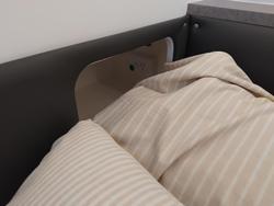 2026 Traveller Brnad New 15Ft Design Queen Bed With Toilet And Shower