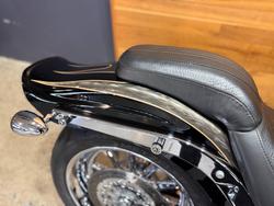 2008 HARLEY-DAVIDSON FXSTSSE S/EAGLE SPRINGER