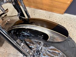 2008 HARLEY-DAVIDSON FXSTSSE S/EAGLE SPRINGER