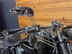 2008 HARLEY-DAVIDSON FXSTSSE S/EAGLE SPRINGER