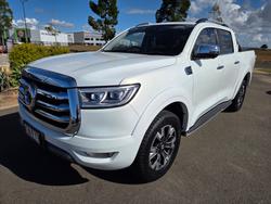 2022 GWM Ute Cannon-X