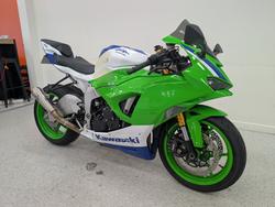2024 Kawasaki NINJA ZX-6R 40TH ANNIVERSARY Green