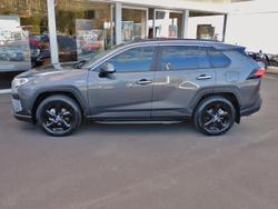 2020 Toyota RAV4 Cruiser